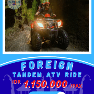 ATV Thrill Ride Tandem - Foreign