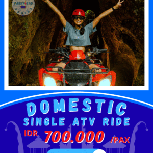 ATV Thrill Ride Single - Domestic