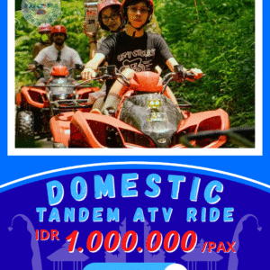 ATV Thrill Ride Tandem - Domestic